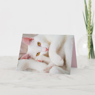 cuddle kitty greeting card