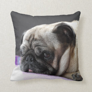 cuddle mops cushion