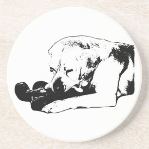 Cuddle the Favourite Coaster