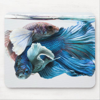 Cuddles Betta Mousepad