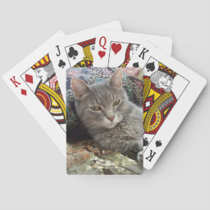 Cuddles Grey Cat Playing Cards