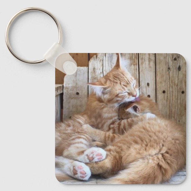 Cuddling Cats Key Ring (Front)