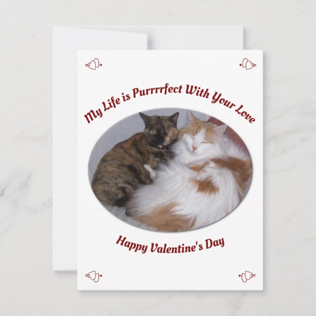 Cuddling Cats Purrfect Life Happy Valentines Day Holiday Card (Front)
