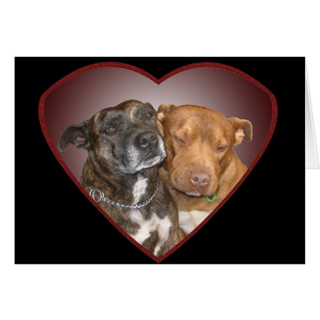 Cuddling Staffy Heart  Blank (Front Horizontal)