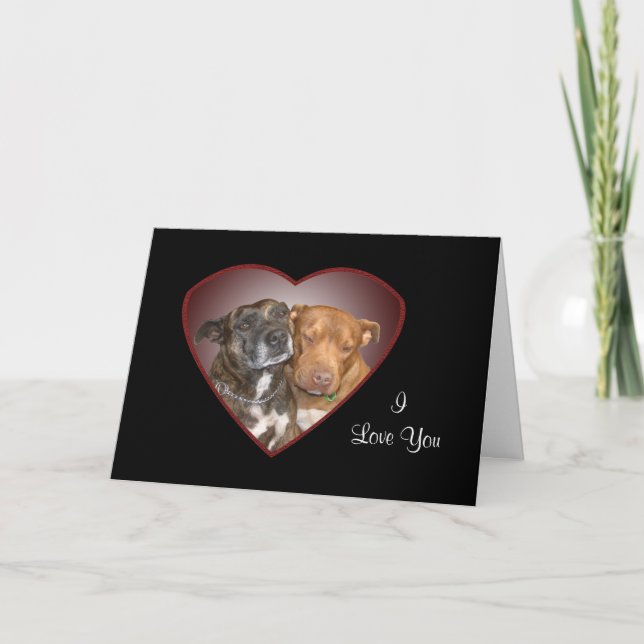 Cuddling Staffy Heart Card (Front)