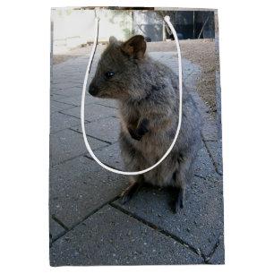 Cuddly Australian Quokka, Medium Gift Bag