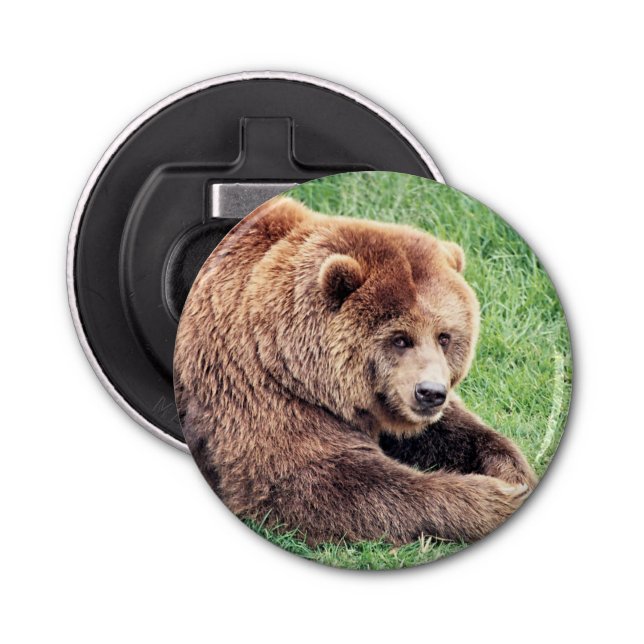 Cuddly Brown Bear Photograph Bottle Opener (Front)