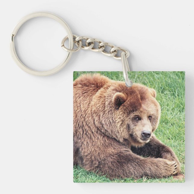 Cuddly Brown Bear Photograph Key Ring (Front)