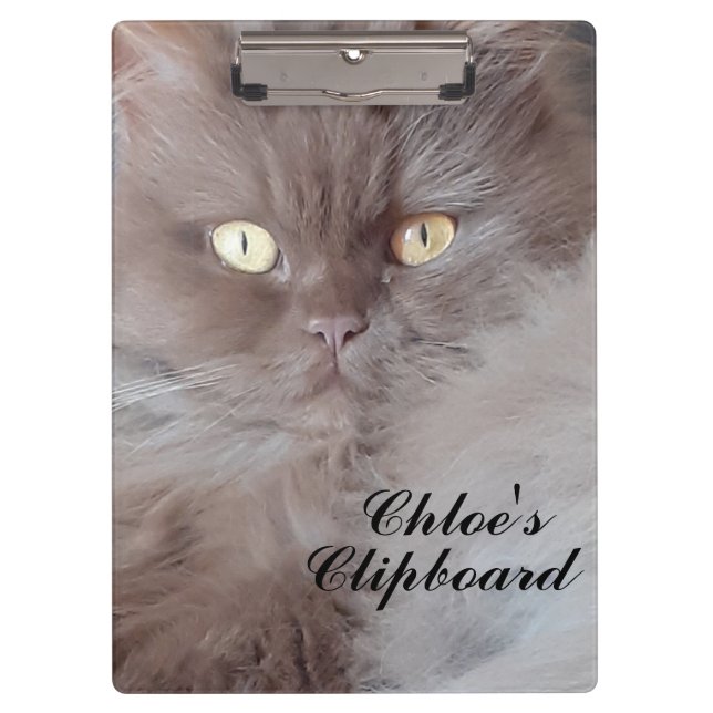 Cuddly Cat  Clipboard (Front)