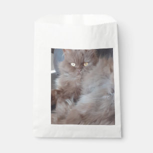 Cuddly Cat Favour Bags
