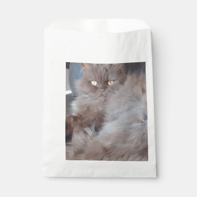 Cuddly Cat  Favour Bags (Front)