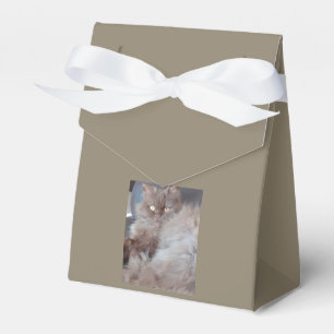 Cuddly Cat Favour Box