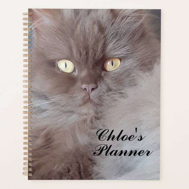 Cuddly Cat Planner (Front)