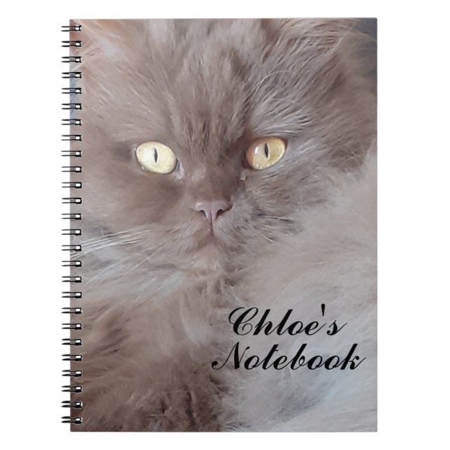 Cuddly Cat Spiral Notebook (Front)