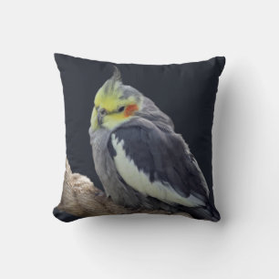 Cuddly Cockatiel Pillow