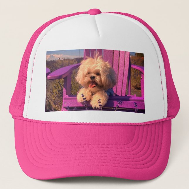 Cuddly Curious Shih Tzu Puppy, Dog Relaxing Trucker Hat (Front)