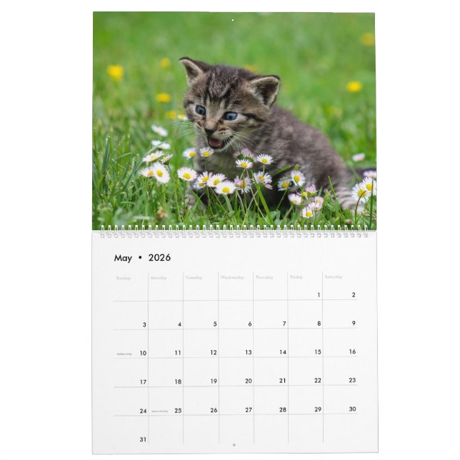 Cuddly Cute Kitten Pet Kitty Cats Feline 2021 Calendar (May 2026)