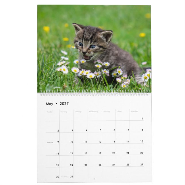 Cuddly Cute Kitten Pet Kitty Cats Feline 2021 Calendar (May 2027)