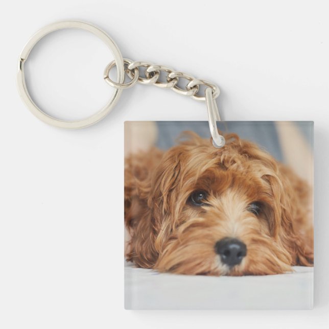 Cuddly Dog Acrylic Keychain (Front)