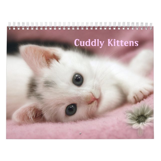 Cuddly Kittens Calendar (Cover)