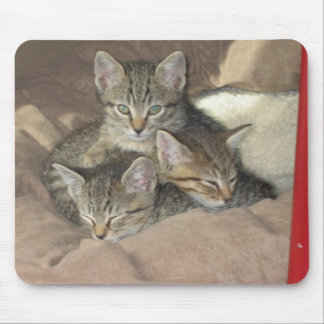 Cuddly Kittens Mouse Pad