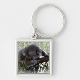 Cuddly Koala Key Ring