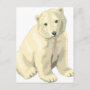 Cuddly  Polar Bear Postcard