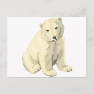 Cuddly  Polar Bear Postcard