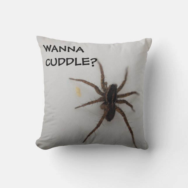 Cuddly Spider Cushion (Front)