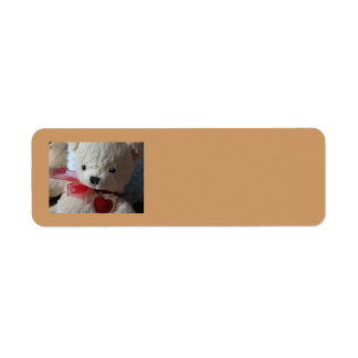Cuddly Teddy Bear - return address label