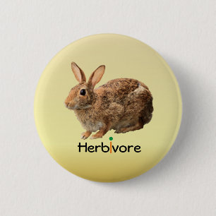 Cuddly Vegan Herbivore Wild Bunny Yellow 6 Cm Round Badge