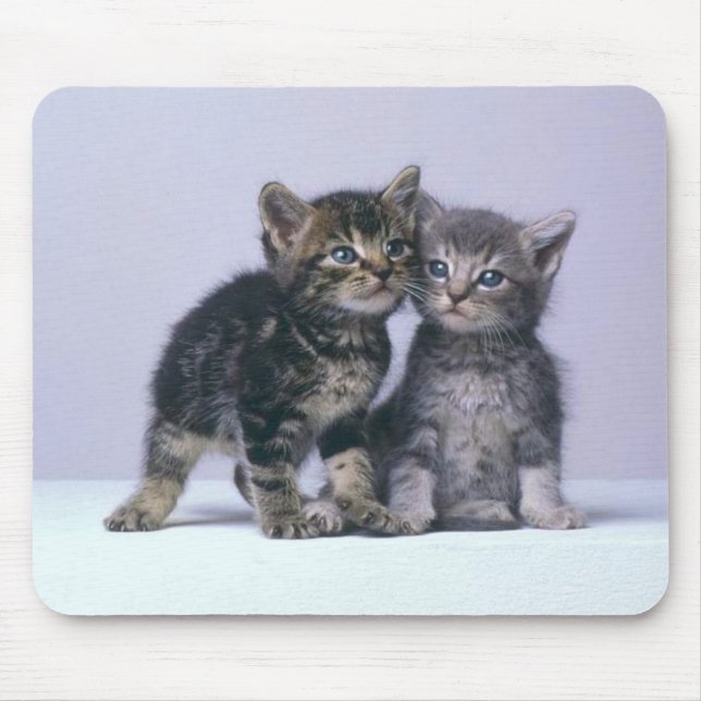 cuddy kittens! mouse pad (Front)