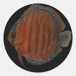 Cuipeua discus classic round sticker