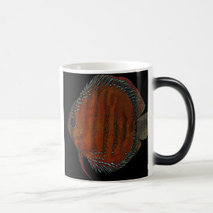 Cuipeua discus magic mug