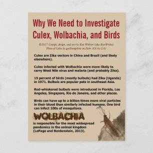 Culex, Wolbachia, and Birds by RoseWrites Postcard