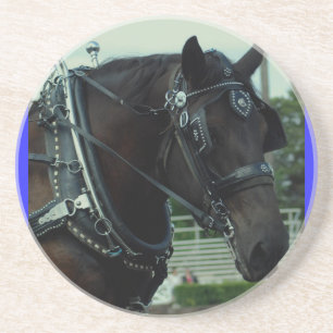 culpeper va draught   horse show coaster