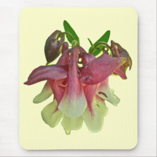 Cultivated Columbine Mousepad