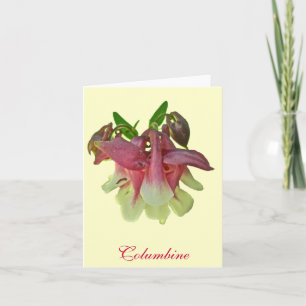 Cultivated Columbine Note Card