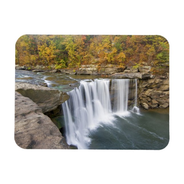 Cumberland Falls State Park near Corbin Kentucky Magnet (Horizontal)
