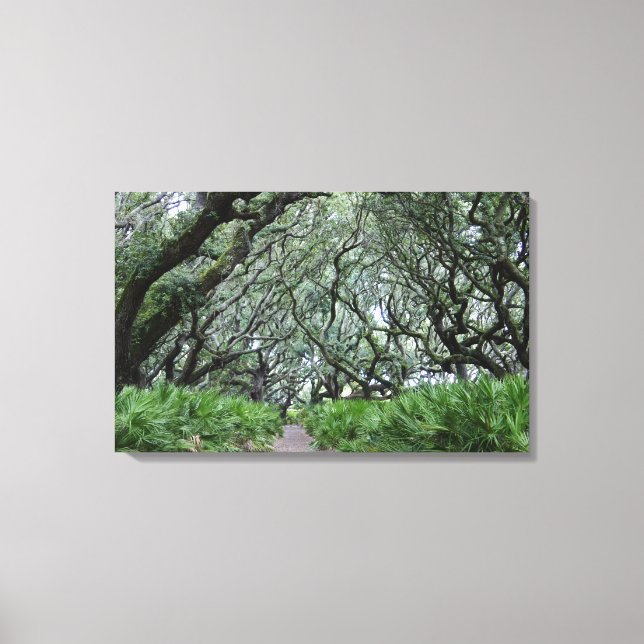 Cumberland Island Canvas Print (Front)