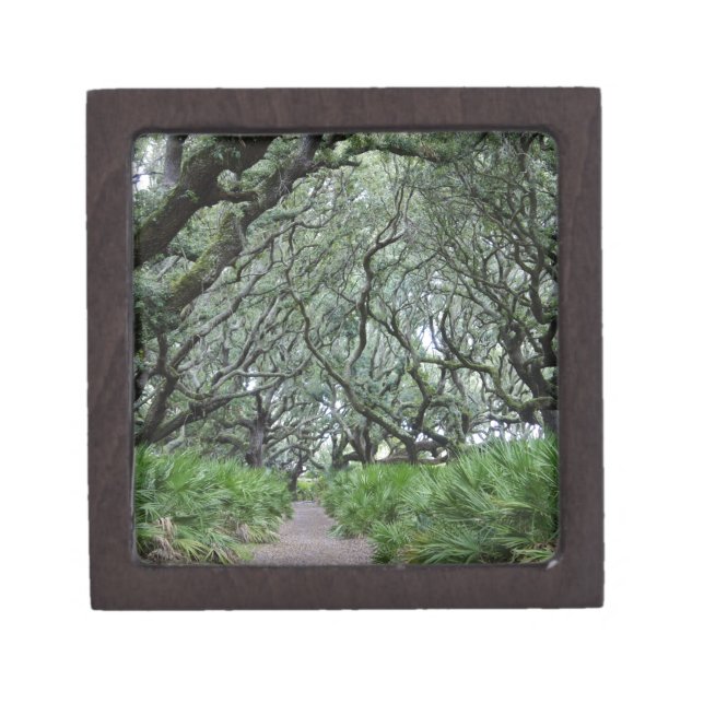 Cumberland Island Gift Box (Front)