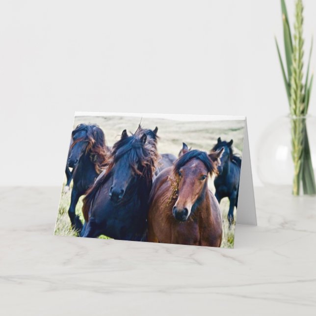 Cumbrian Fell Ponies Card (Front)