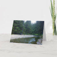 Cummins Creek at Neptune State Park, OR