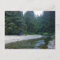 Cummins Creek at Neptune State Park, OR