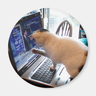 Cumputer Cat Magnet