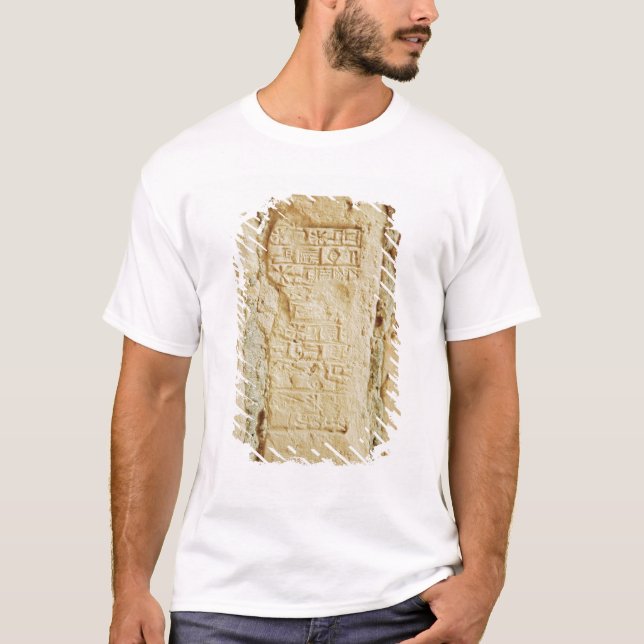 Cuneiform script on a palace wall T-Shirt (Front)