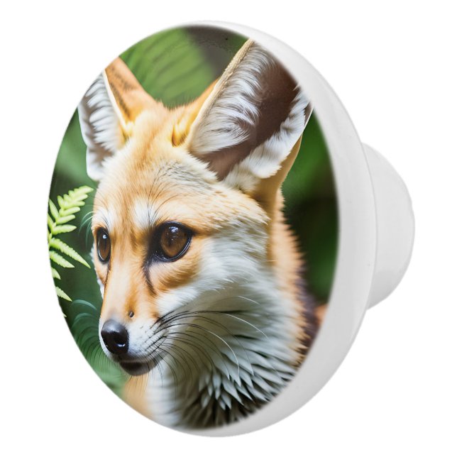 Cunning Fennec Fox, Ceramic Knob (Right)