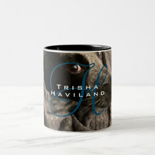 cup mug