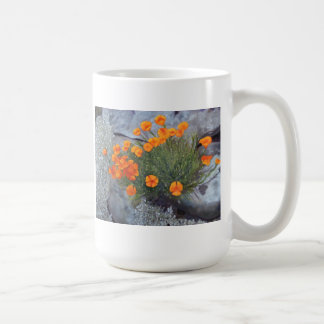 Cup with Fine Art of Poppies among the rocks