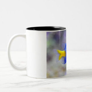 Cup with Lucky Fish